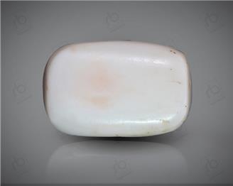 Natural White Coral ( Safed Mooga) Certified 18.83 CTS. ( 91497 )
